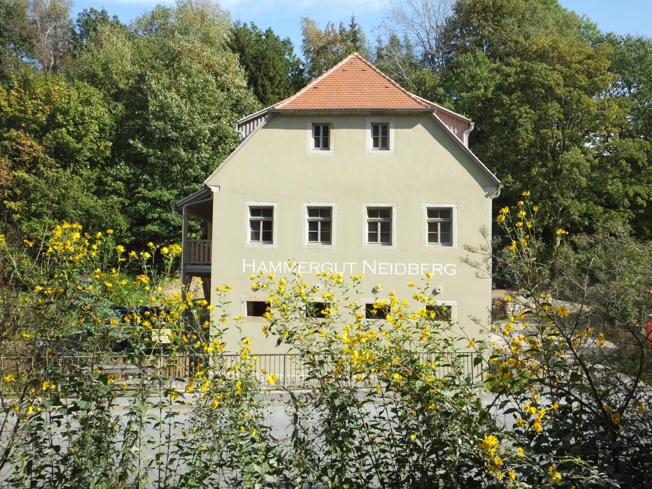 Gesindestube - Hammergut Neidberg Rosenthal-Bielatal Dış mekan fotoğraf